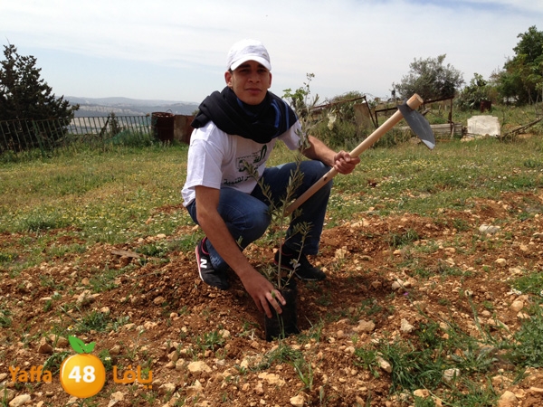 ludandyaffazaitoon (6).JPG